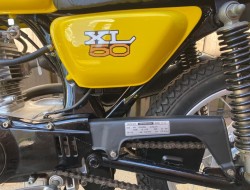 1981 Honda Xl50e VK8696 | Transport | Bromfiets / Motor