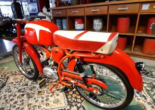 Motori Paglianti 48cc