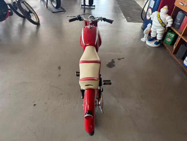 Motori Paglianti 48cc LT553 | Transport | Auto's