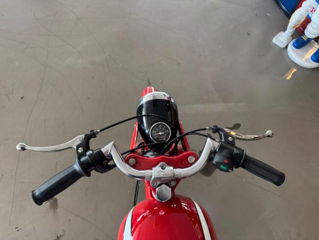 Motori Paglianti 48cc LT553 | Transport | Auto's