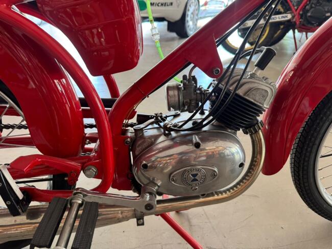 Motori Paglianti 48cc LT553 | Transport | Auto's