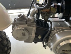 1998 Honda ZJ50 Monkey DV1216 | Transport | Bromfiets / Motor