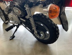 1998 Honda ZJ50 Monkey DV1216 | Transport | Bromfiets / Motor