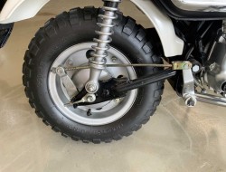 1998 Honda ZJ50 Monkey DV1216 | Transport | Bromfiets / Motor