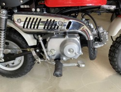 1998 Honda ZJ50 Monkey DV1216 | Transport | Bromfiets / Motor