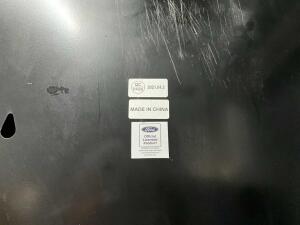 Ford Neonreclame Groot