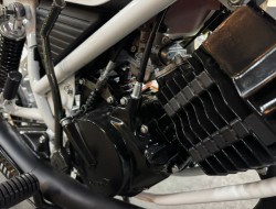 1981 Honda MB110 VT562 | Transport | Bromfiets / Motor