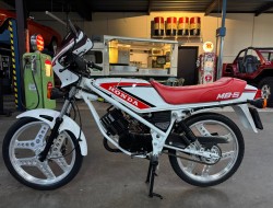 1981 Honda MB110 VT562 | Transport | Bromfiets / Motor