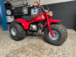 1981 Honda ATC 110 C Trike VT576 | Transport | Motor/Quad