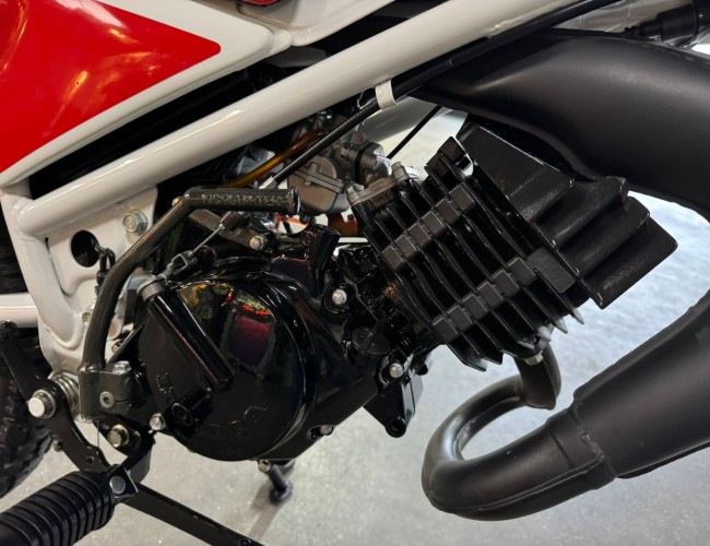 1984 Honda MT80 VT668 | Transport | Bromfiets / Motor