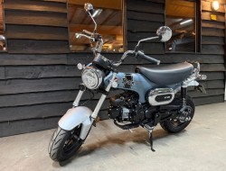 2023 Honda Dax ST125A VT669 | Transport | Bromfiets / Motor