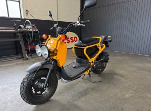 2009 Honda NPS50 Zoomer VT670