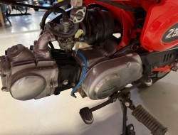 1985 Honda Monkey Z50J Brommer VK9882 | Transport | Bromfiets / Motor