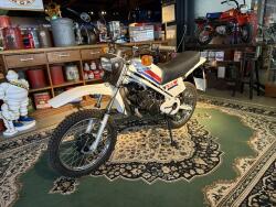 1980 Honda MT50 Wit Blauw VT774 | Transport | Bromfiets / Motor