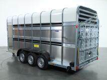 2026 Ifor Williams TA510 16x7 (497x178x212cm) Dubbeldeks Schapentrailer/ Veetrailer VT1087 | Aanhangwagen | Veetrailer
