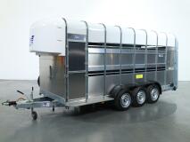 2026 Ifor Williams TA510 16x7 (497x178x212cm) Dubbeldeks Schapentrailer/ Veetrailer VT1087 | Aanhangwagen | Veetrailer